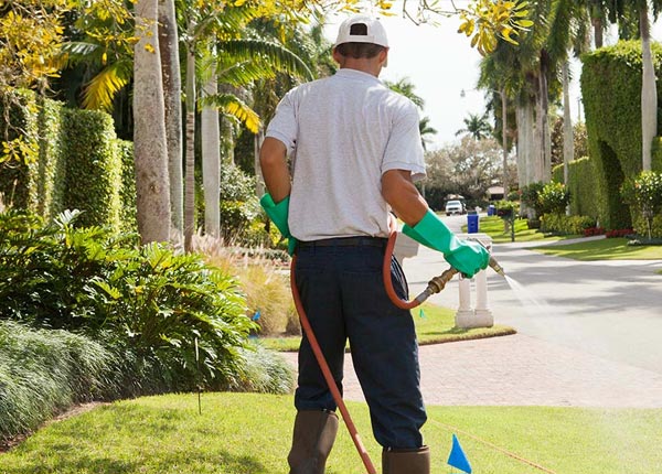 About Newry ME Pest Control